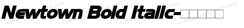 Newtown Bold Italic字体转换